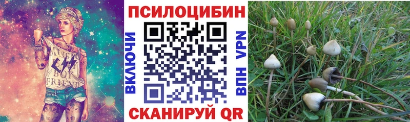 это Telegram  Сорочинск  Псилоцибиновые грибы Cubensis  hydra tor 
